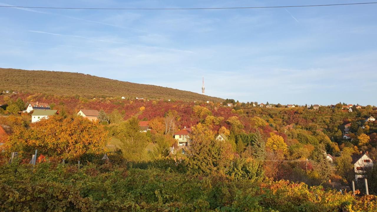 פץ' Hillside Cottage מראה חיצוני תמונה
