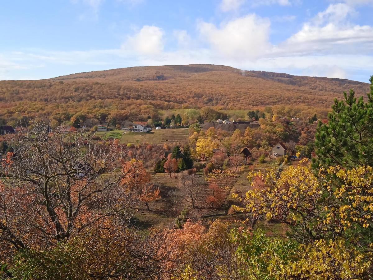 פץ' Hillside Cottage מראה חיצוני תמונה