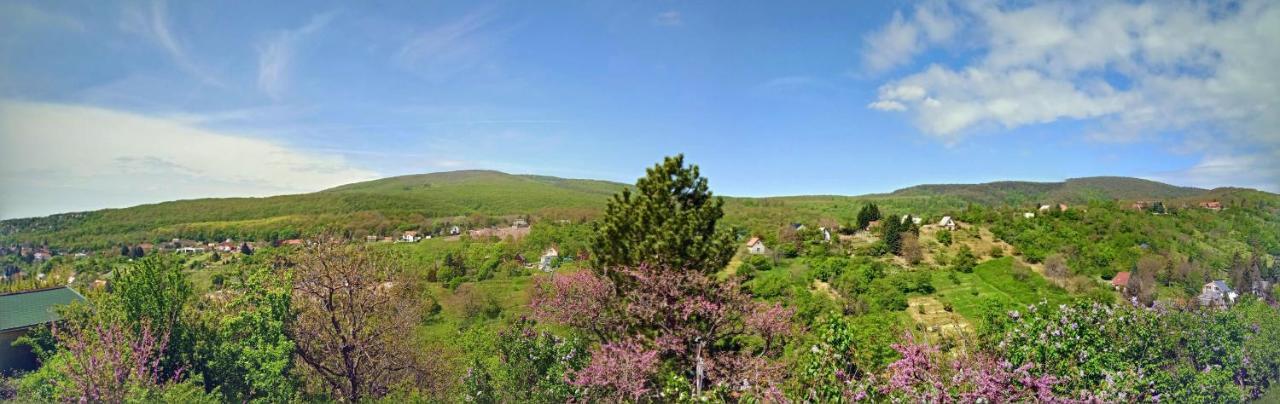 פץ' Hillside Cottage מראה חיצוני תמונה